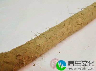 盆腔炎吃什么食物好