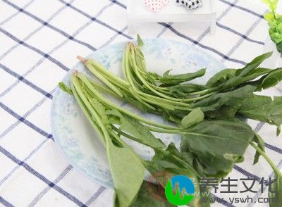 进食菠菜可有效补充维生素E，有助于缓解疼痛