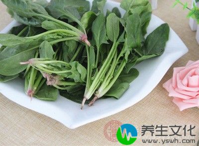 孕妇食用菠菜能促进生长发育，增强抗病能力