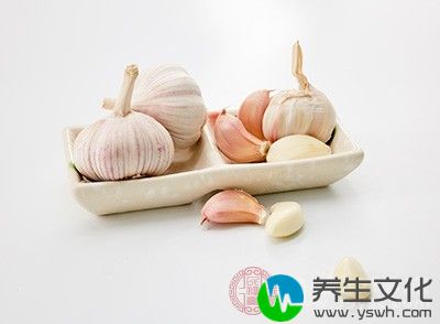 牛腩550克，生姜5片，大蒜1根