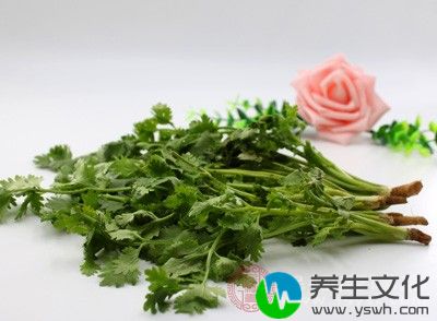 大家可以在煮牛肉的时候，顺便把香菜用流动的清水洗净备用