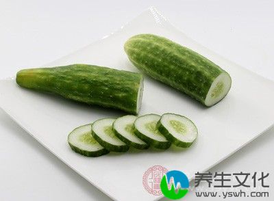 生黄瓜一根，紫菜汤