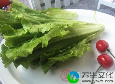 生菜维生素含量高,且纤维素含量高,有清洗口腔且缓解牙龈炎症反应的作用