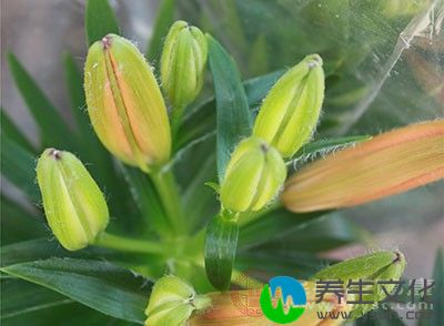 有很多植物散发的香味都可以帮助我们舒缓神经，利于睡眠