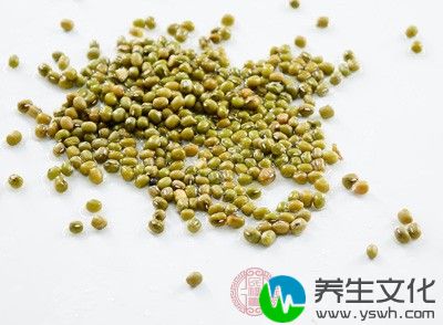 绿豆是生活中常见的食材