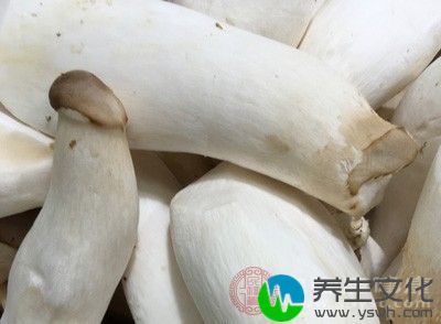 放海鲜酱油调味，煸炒至杏鲍菇丝变软，颜色变深，放入香菜