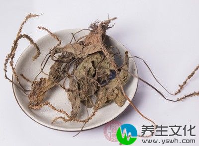 具有抗菌消炎、补虚益肾、清热通淋、利湿解毒的功效。对急性膀胱炎、慢性肾盂肾炎等性质的尿路感染都很适用