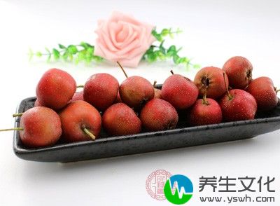 山楂只消不补，脾胃须弱者不宜多食