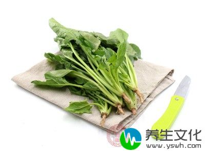 菠菜洗净后放入沸水中，加入1茶匙盐烫熟，然后捞出放入凉水中，再挤干水分切成沫