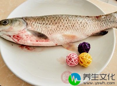 鱼，酒、葱、蒜、辣椒猪油、调味料各少许