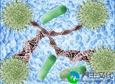 常用的有苄星青霉素、普鲁卡因青霉素和水剂青霉素