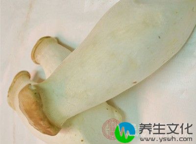 　杏鲍菇是开发栽培成功的集食用、药用、食疗于一体的珍稀食用菌新品种