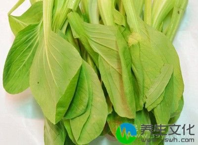 菜汁汤：鲜菠菜或白菜适量，煮汤饮用