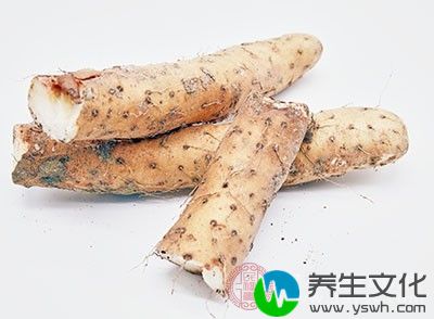 适宜温补肾阳。脾虚、肺虚、肾虚者可长期食用