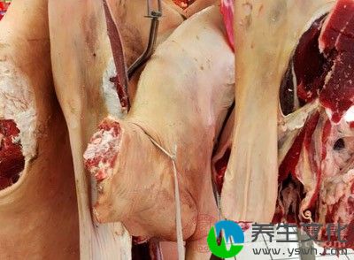 准备豆豉500克，羊肉100克，生姜15克