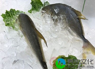 鲜鱼片、青萝卜各600g