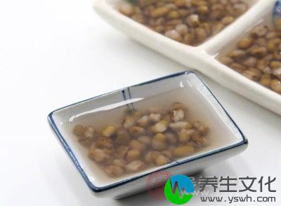 排毒效果比较好的食物就是绿豆汤