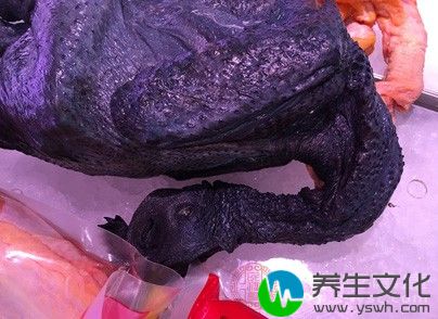 乌鸡1只，益母草500g