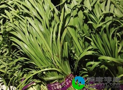 用韭菜根10个，川椒20粒，香油少许，其捣如泥