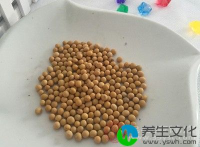 少吃动物内脏及豆类