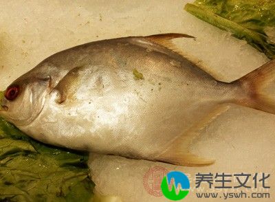 有不少发热咳嗽患儿在进食鱼腥类食物后反倒是致症状加重