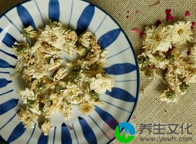 若是鸡肉和菊花同食的话