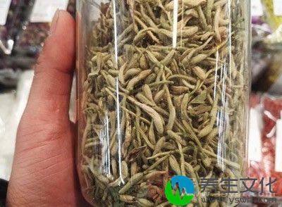 栀子、黄柏各10g，白花蛇舌草30g，车前子、金银花、连翘、石韦、冬葵子、当归各10g，琥柏粉3g