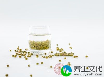 绿豆蜂蜜汤，常食可使皮肤白嫩光滑，使面容红润有光泽