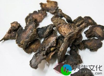 水牛角1g(冲服)，生地、生石膏、白茅根各30g