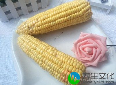 玉米油含不饱和脂肪酸、高达六成的亚麻油酸，是良好的胆固醇吸收剂;玉米放在中药里则有利尿作用，并有帮助稳定血压的效果