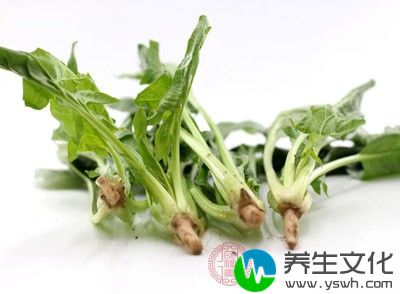 这是最常见的蔬菜。也是有名的补血食物