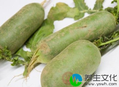 萝卜青果茶：鲜白萝卜1个