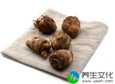 用生芋头3公斤,晒干研末,另用陈海蜇300克