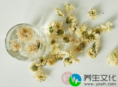 用菊花泡茶等都可护肝