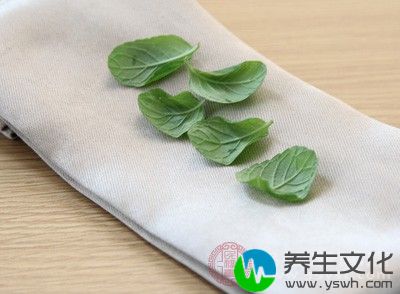 银花30克，薄荷10克，鲜芦根60克