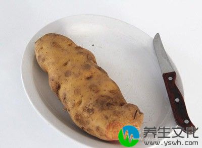 土豆适量，去皮捣泥