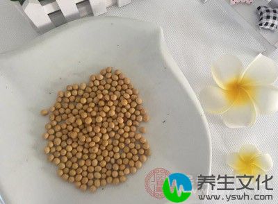 豆类在引起消化不良方面可谓声名狼藉