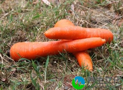 胡萝卜是有效的排汞食物。含有的大量果胶可以与汞结合