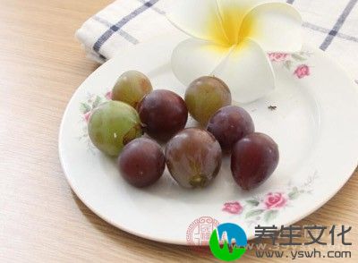 葡萄柚、大芹菜、乳酪块、葡萄柚汁、蜂蜜