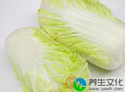 鸭肉与白菜同食，可促进血液中胆固醇的代谢