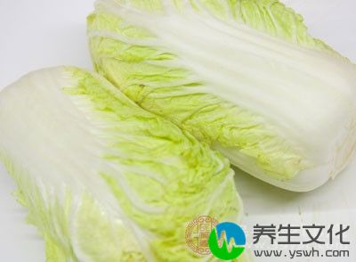 取白菜根，蒜苗