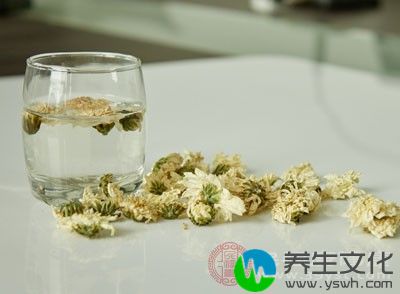 菊花茶也能解决黑眼圈的问题