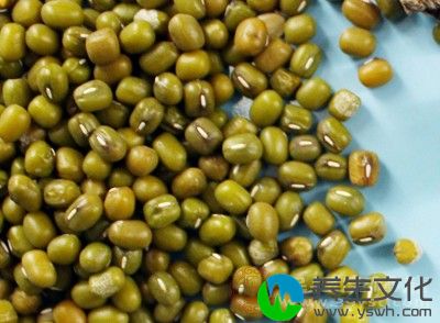 绿豆、蚕豆、豇豆、扁豆等不但有丰富的蛋白质