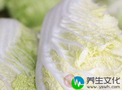 白菜1棵大约2kg