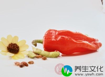 辛辣食物主要就是指各种辣椒