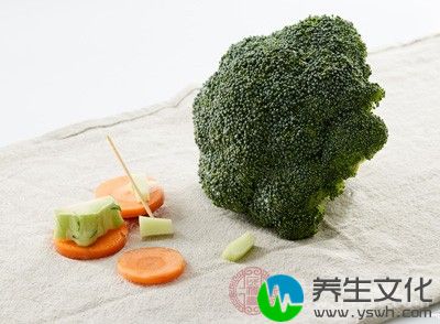 西兰花和甘蓝同属十字花科植物