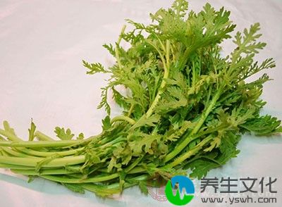 芹菜含有丰富的膳食纤维