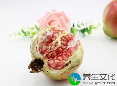 石榴中含有丰富的生物碱成分