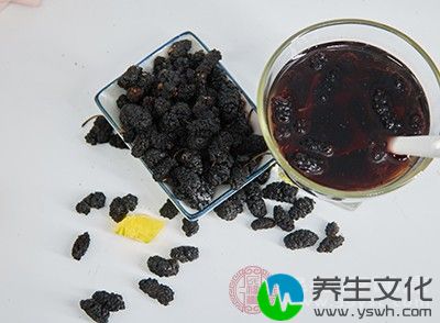 经常吃桑葚可以增加人体T淋巴细胞的数量