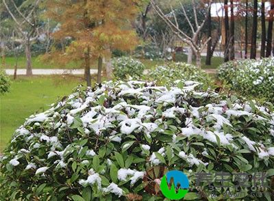 小雪表示开始将要下雪